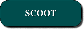 SCOOT BUSINESS DIRECTORY